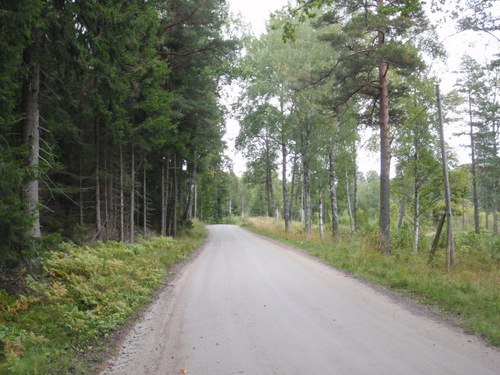 Countryside.